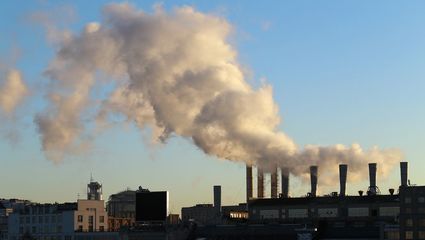 如何成為碳排放管理師并開展環保咨詢服務的完整指南